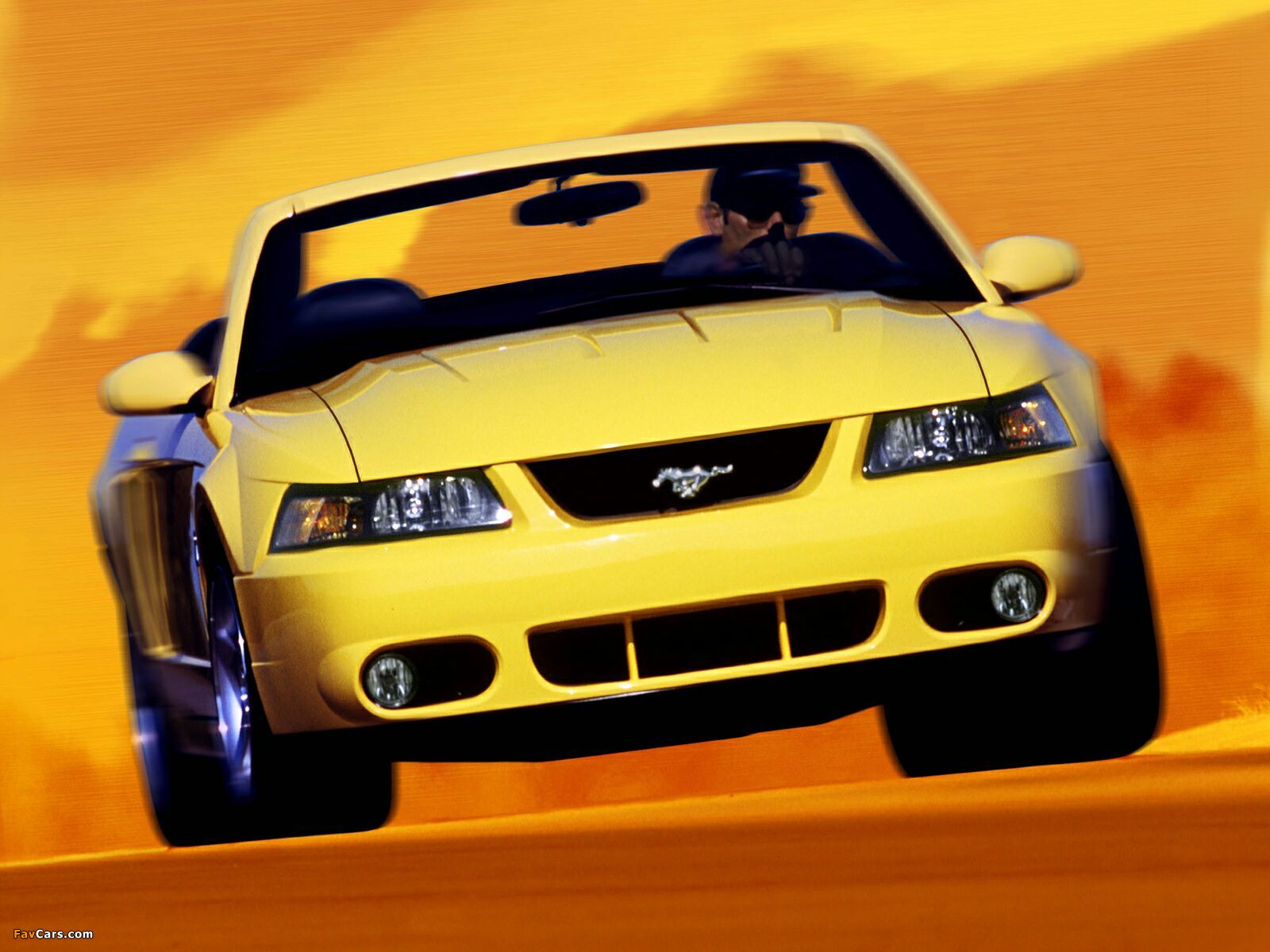 Pictures of Mustang SVT Cobra Convertible 1999–2002 (1600 x 1200)