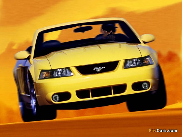 Pictures of Mustang SVT Cobra Convertible 1999–2002 (640 x 480)