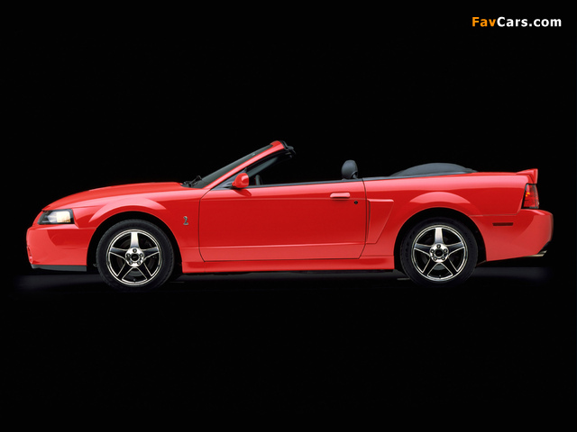 Pictures of Mustang SVT Cobra Convertible 2003–04 (640 x 480)