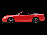 Pictures of Mustang SVT Cobra Convertible 2003–04