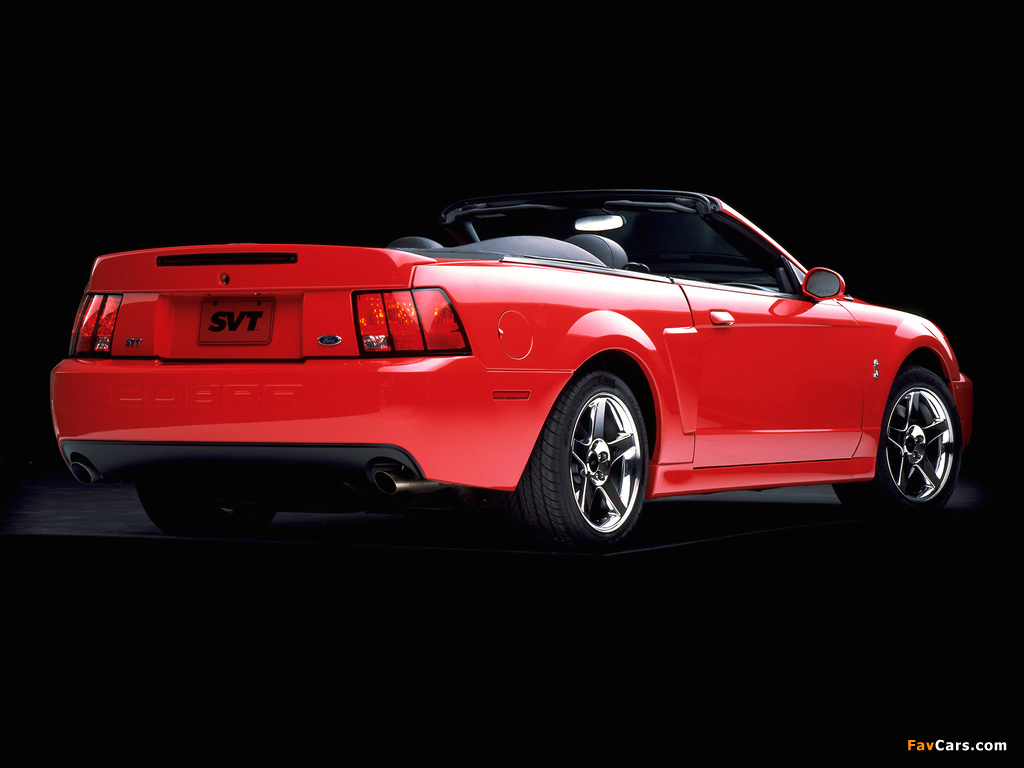 Pictures of Mustang SVT Cobra Convertible 2003–04 (1024 x 768)