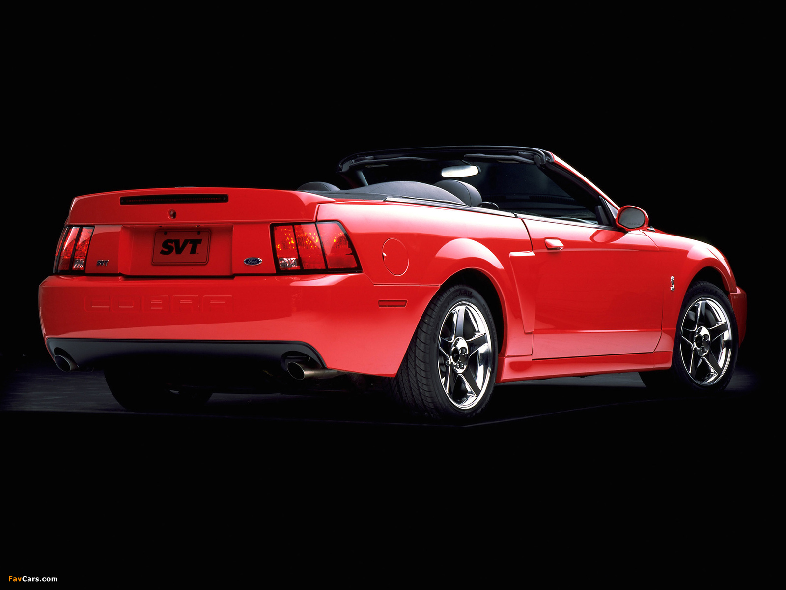 Pictures of Mustang SVT Cobra Convertible 2003–04 (1600 x 1200)