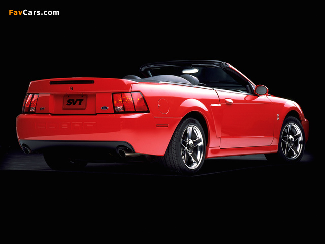 Pictures of Mustang SVT Cobra Convertible 2003–04 (640 x 480)