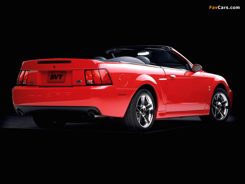 Pictures of Mustang SVT Cobra Convertible 2003–04 (800 x 600)