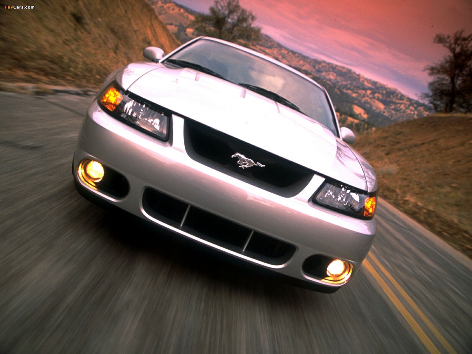 Pictures of Mustang SVT Cobra Coupe 2004–05 (1600 x 1200)