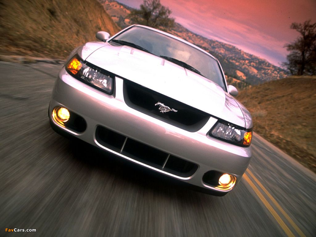 Pictures of Mustang SVT Cobra Coupe 2004–05 (1024 x 768)