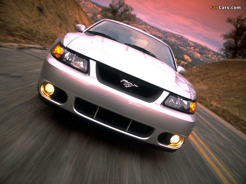 Pictures of Mustang SVT Cobra Coupe 2004–05 (800 x 600)