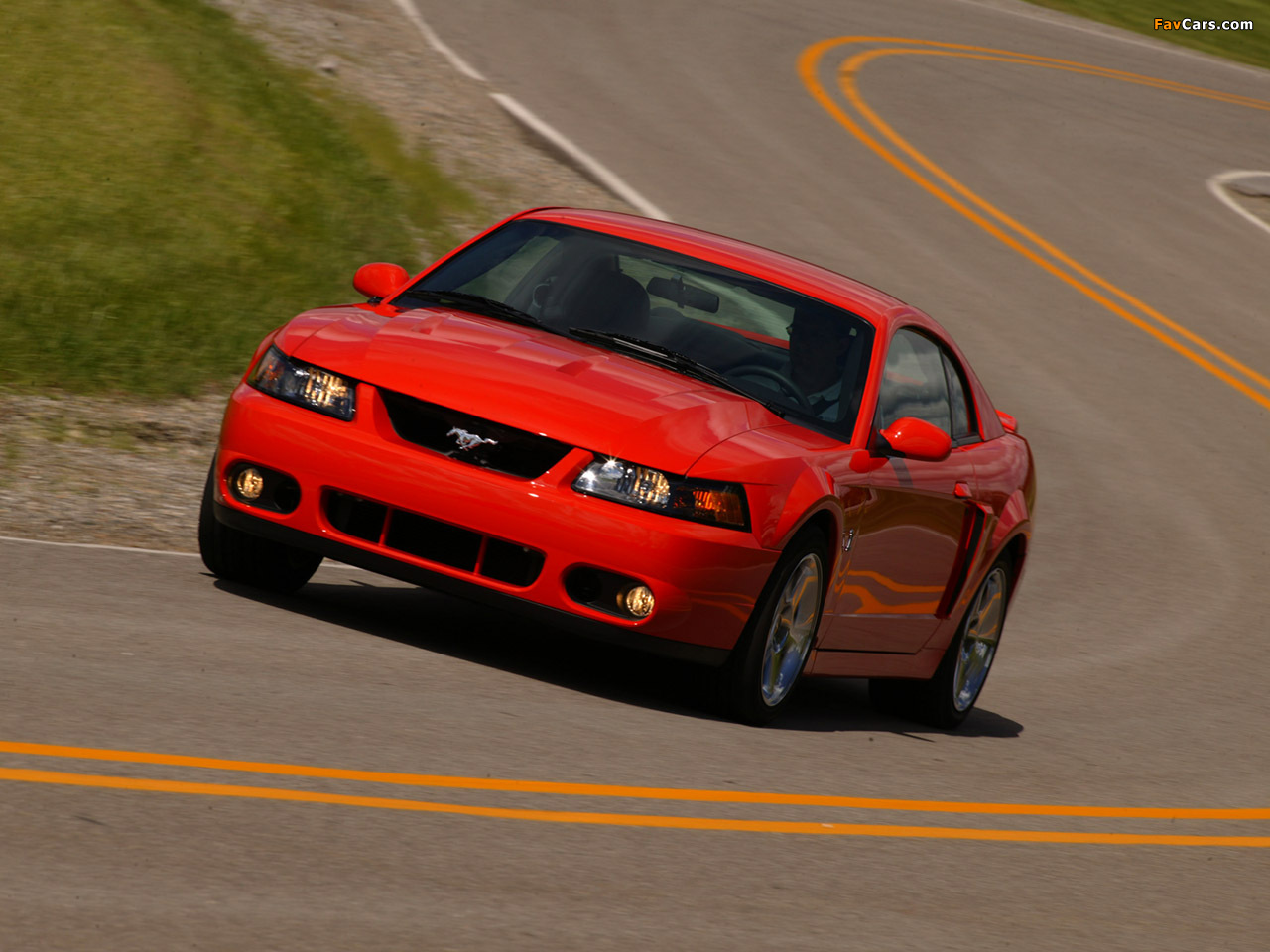 Pictures of Mustang SVT Cobra Coupe 2004–05 (1280 x 960)