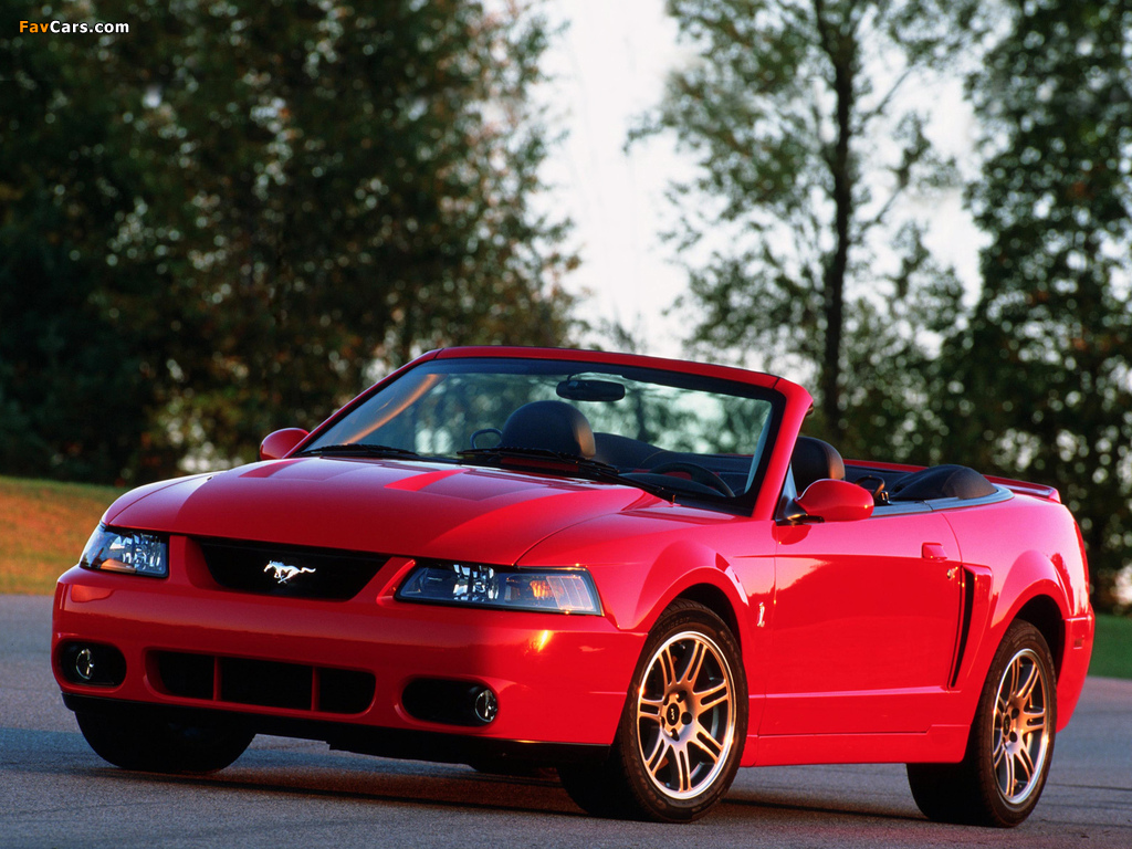Pictures of Mustang SVT Cobra Convertible 2004–05 (1024 x 768)