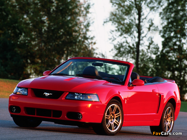 Pictures of Mustang SVT Cobra Convertible 2004–05 (640 x 480)