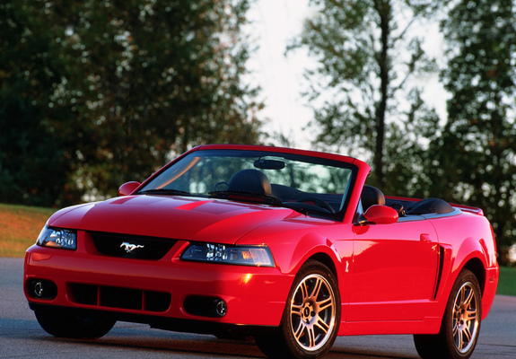 Pictures of Mustang SVT Cobra Convertible 2004–05