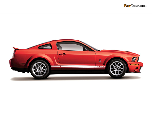 Pictures of Shelby GT500 2005–08 (640 x 480)