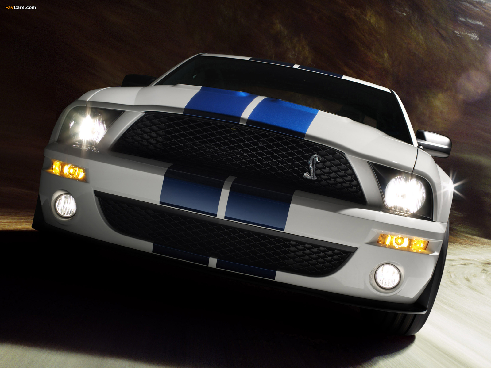 Pictures of Shelby GT500 2005–08 (1600 x 1200)