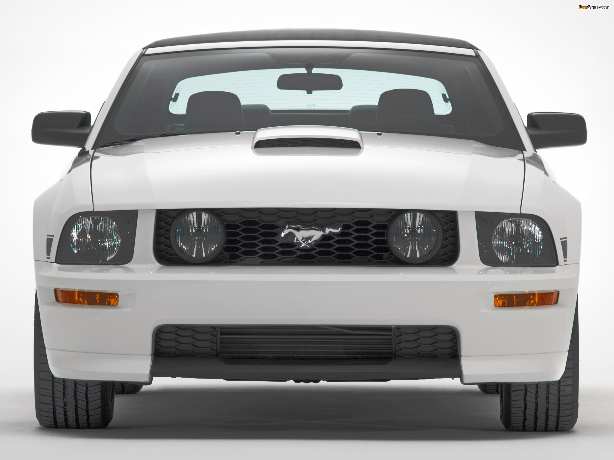 Pictures of Mustang GT California Special 2007 (2048 x 1536)