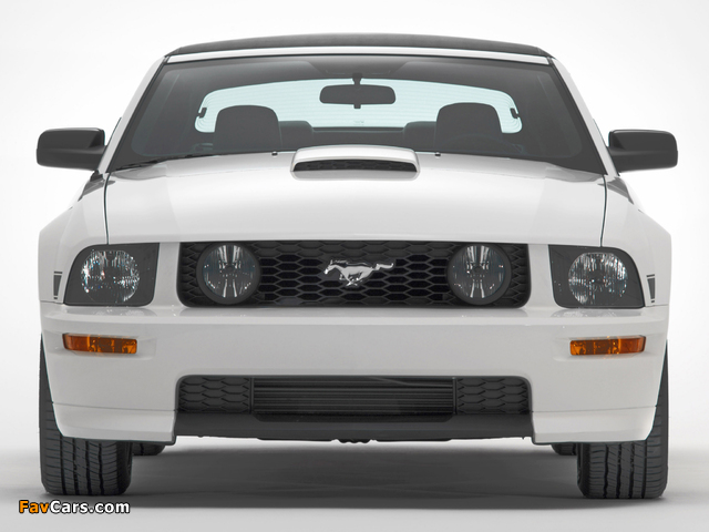 Pictures of Mustang GT California Special 2007 (640 x 480)