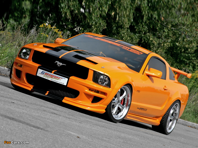 Pictures of Geiger Mustang GT 520 2007 (800 x 600)
