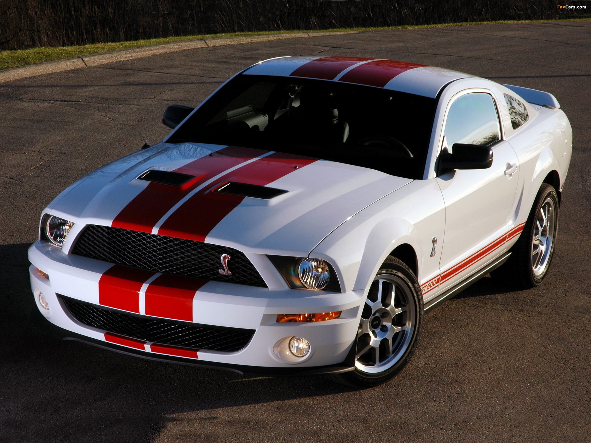 Pictures of Shelby GT500 Red Stripe Appearance Package 2007 (2048 x 1536)