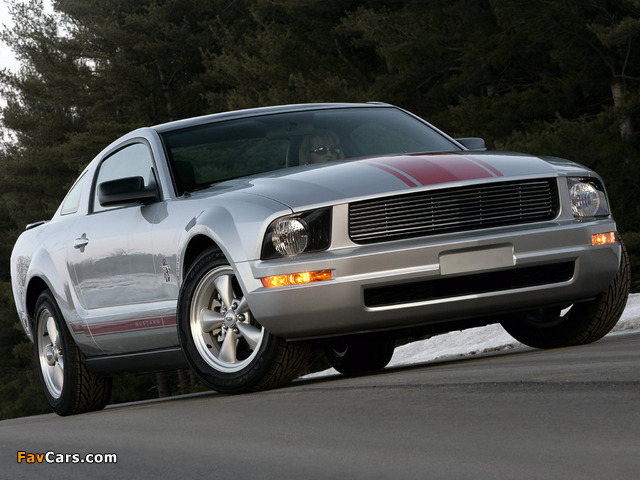 Pictures of Mustang Coupe Warriors in Pink 2008 (640 x 480)