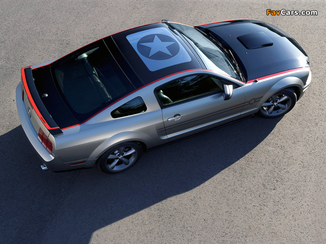 Pictures of Mustang AV8R 2008 (640 x 480)