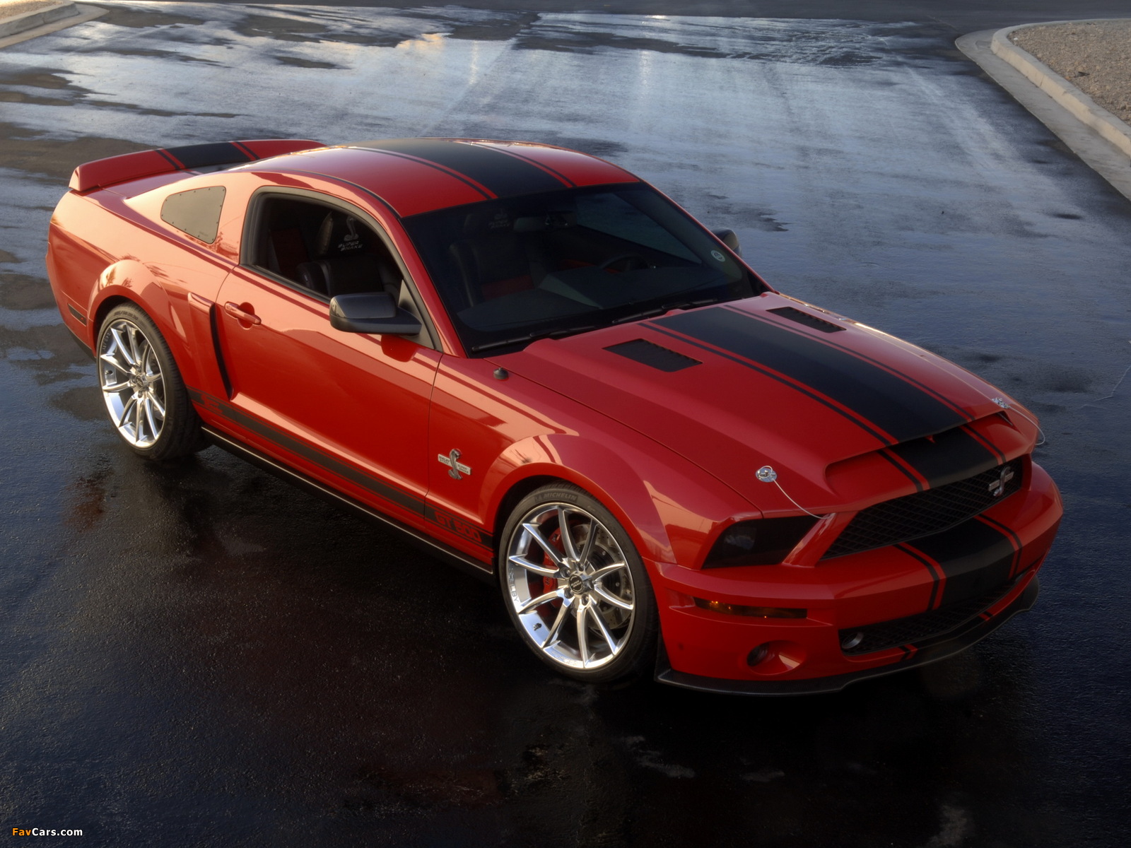 Pictures of Shelby GT500 Super Snake 2008–10 (1600 x 1200)