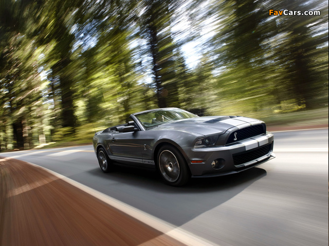 Pictures of Shelby GT500 Convertible SVT 2009–10 (640 x 480)