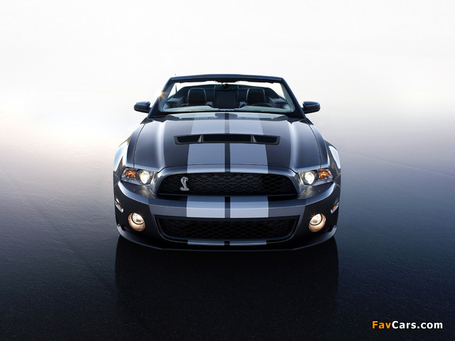 Pictures of Shelby GT500 Convertible SVT 2009–10 (640 x 480)