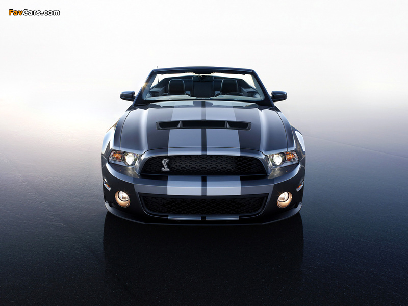 Pictures of Shelby GT500 Convertible SVT 2009–10 (800 x 600)