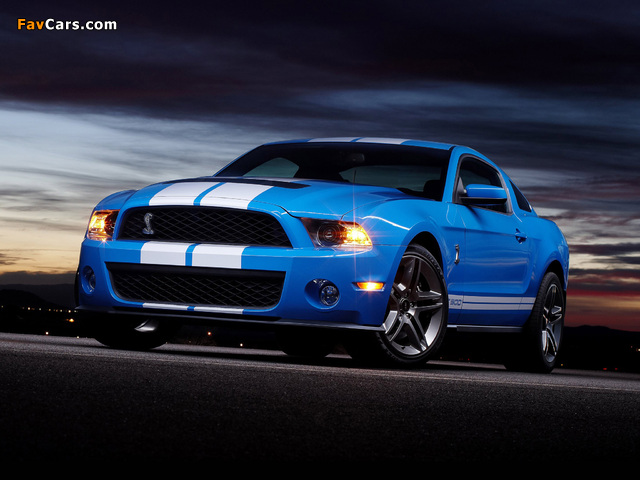 Pictures of Shelby GT500 2009–10 (640 x 480)