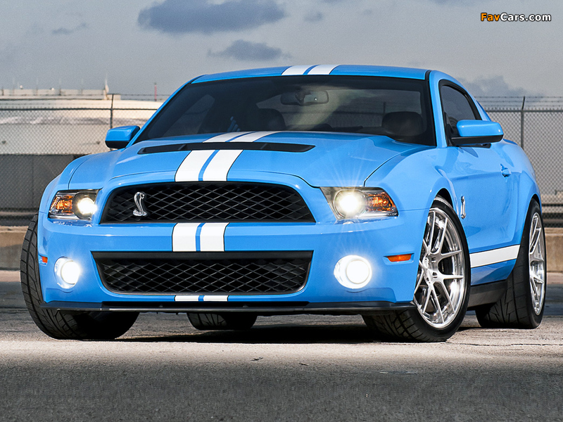 Pictures of Shelby GT500 2009–10 (800 x 600)