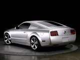 Pictures of Mustang Iacocca 45th Anniversary Edition 2009