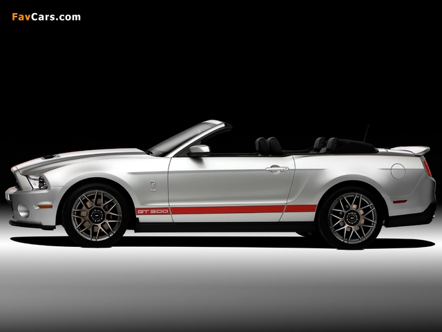 Pictures of Shelby GT500 SVT Convertible 2010–12 (640 x 480)