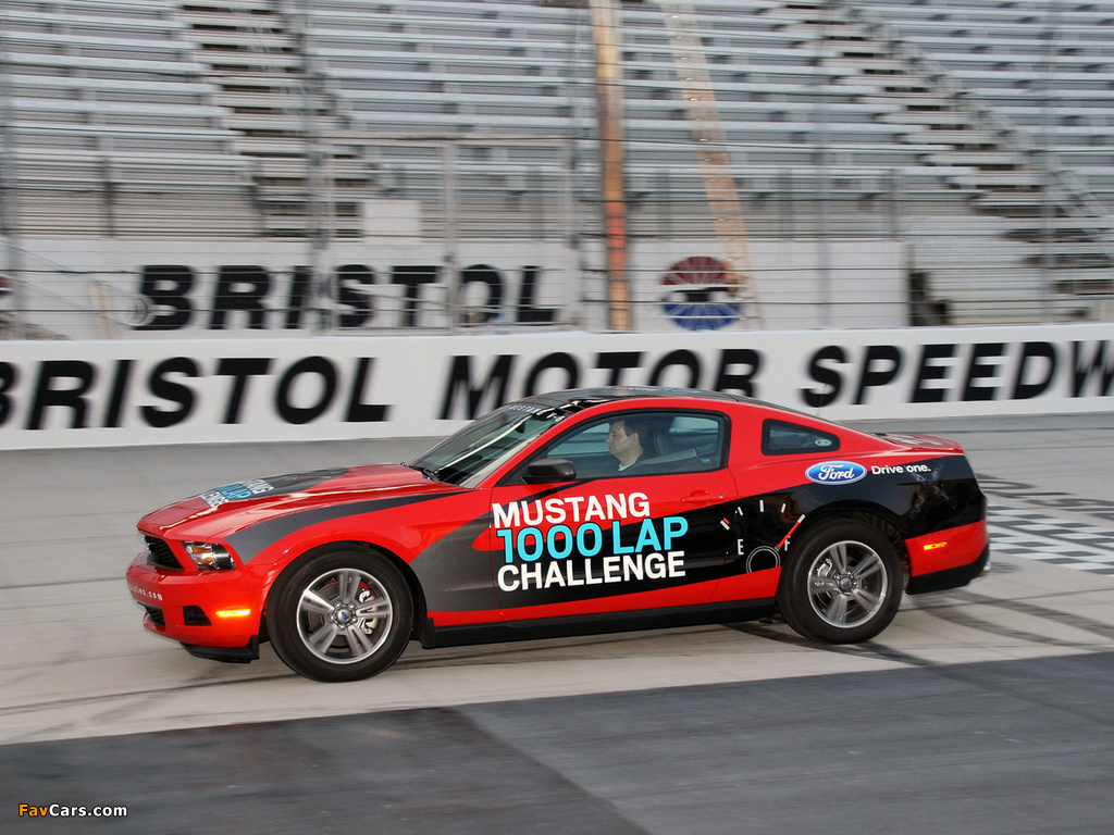 Pictures of Mustang V6 1000 Lap Challenge 2010 (1024 x 768)