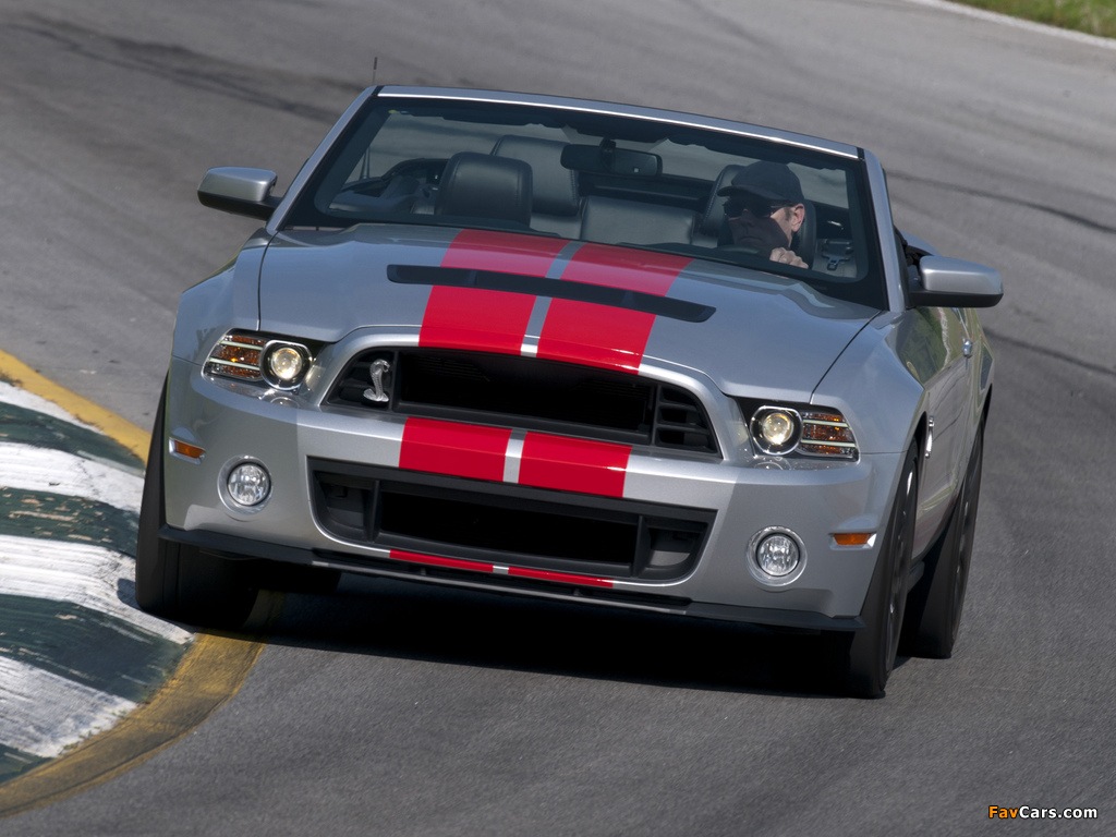 Pictures of Shelby GT500 SVT Convertible 2012 (1024 x 768)