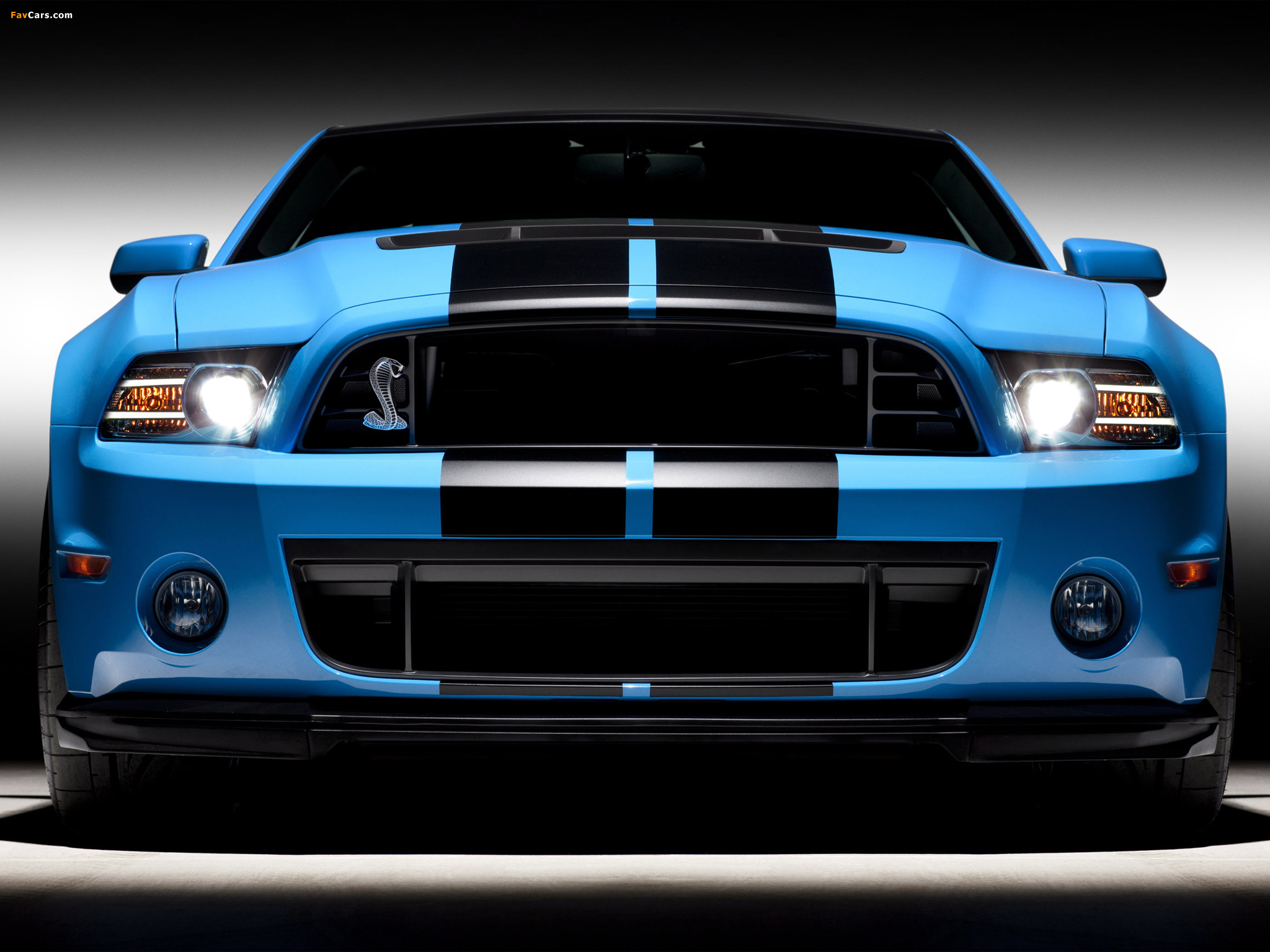 Pictures of Shelby GT500 SVT 2012 (2048 x 1536)