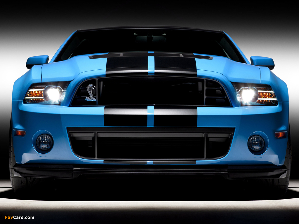 Pictures of Shelby GT500 SVT 2012 (1024 x 768)