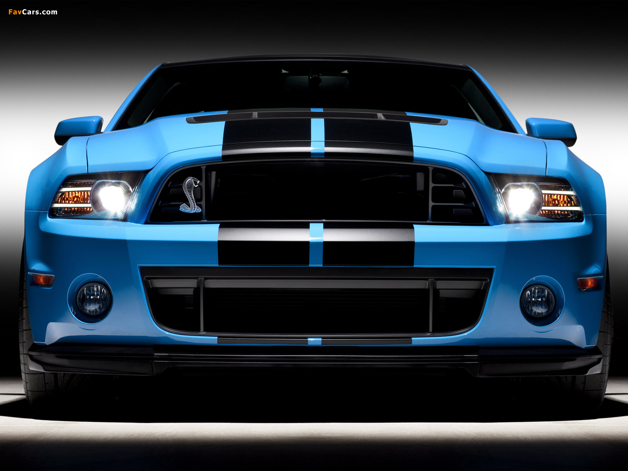 Pictures of Shelby GT500 SVT 2012 (1280 x 960)
