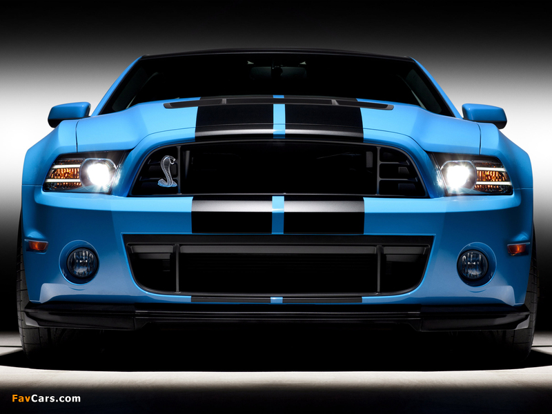 Pictures of Shelby GT500 SVT 2012 (800 x 600)