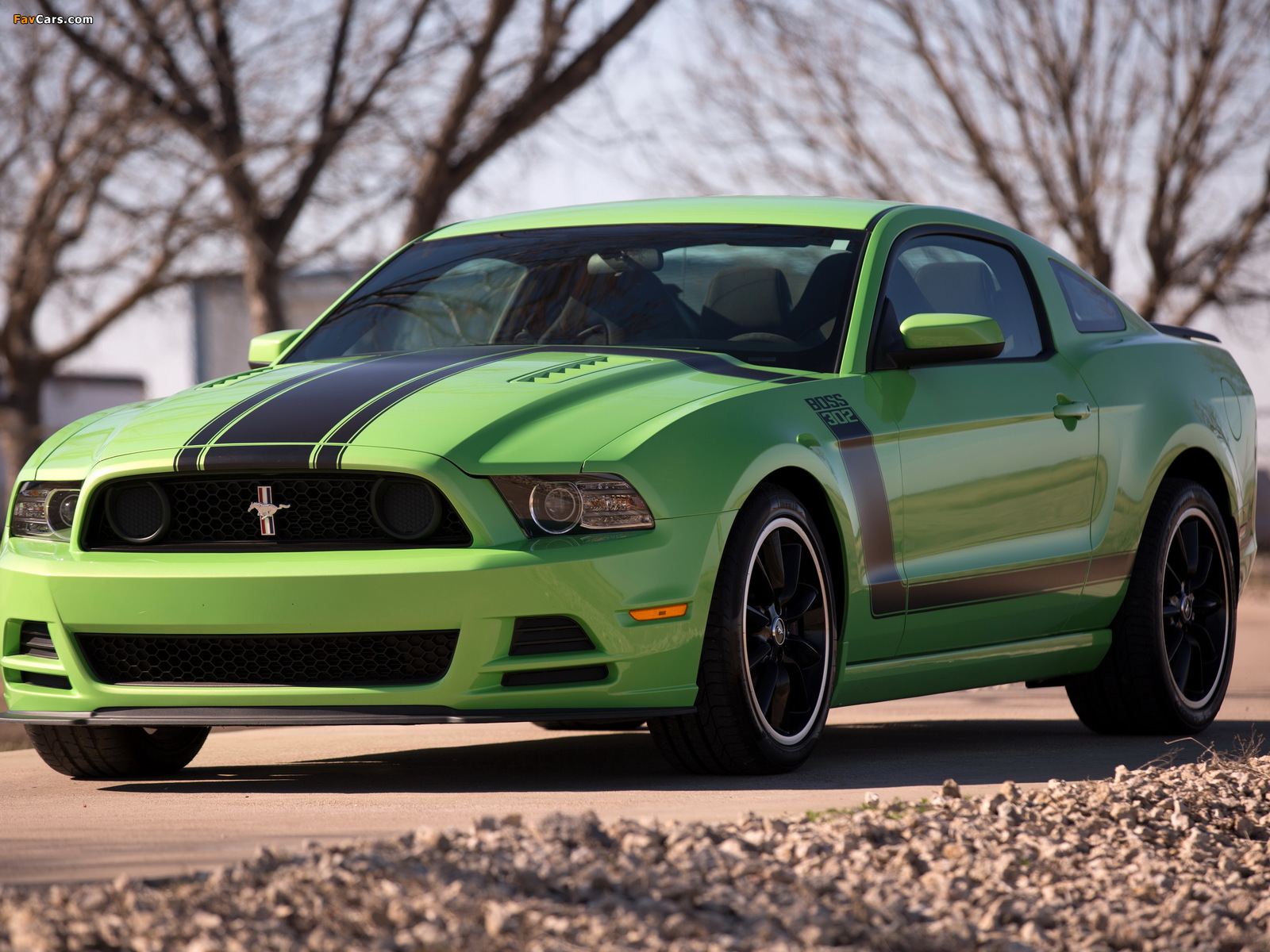 Pictures of Ford Mustang Boss 302 2012–2014 (1600 x 1200)
