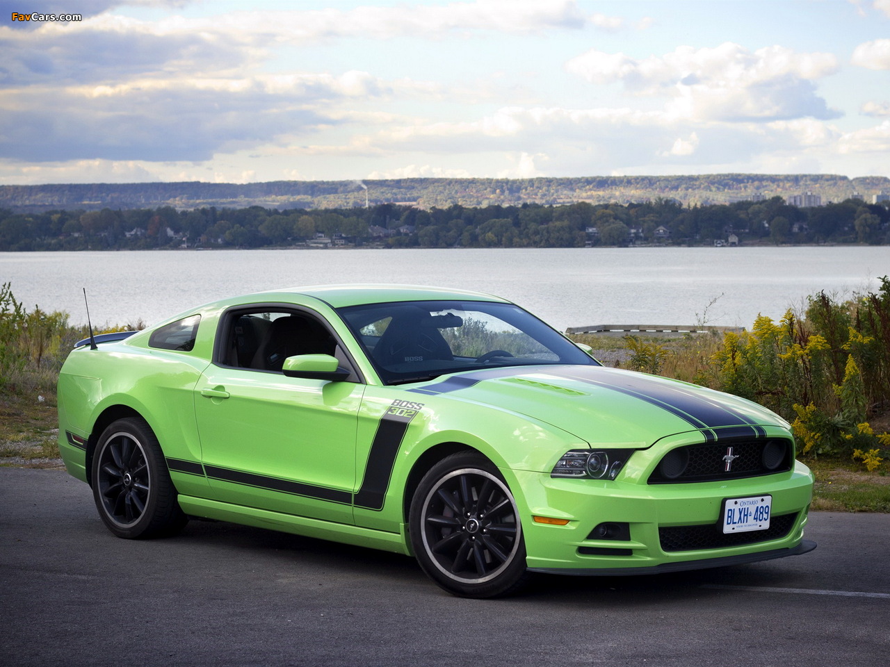 Pictures of Mustang Boss 302 2012 (1280 x 960)