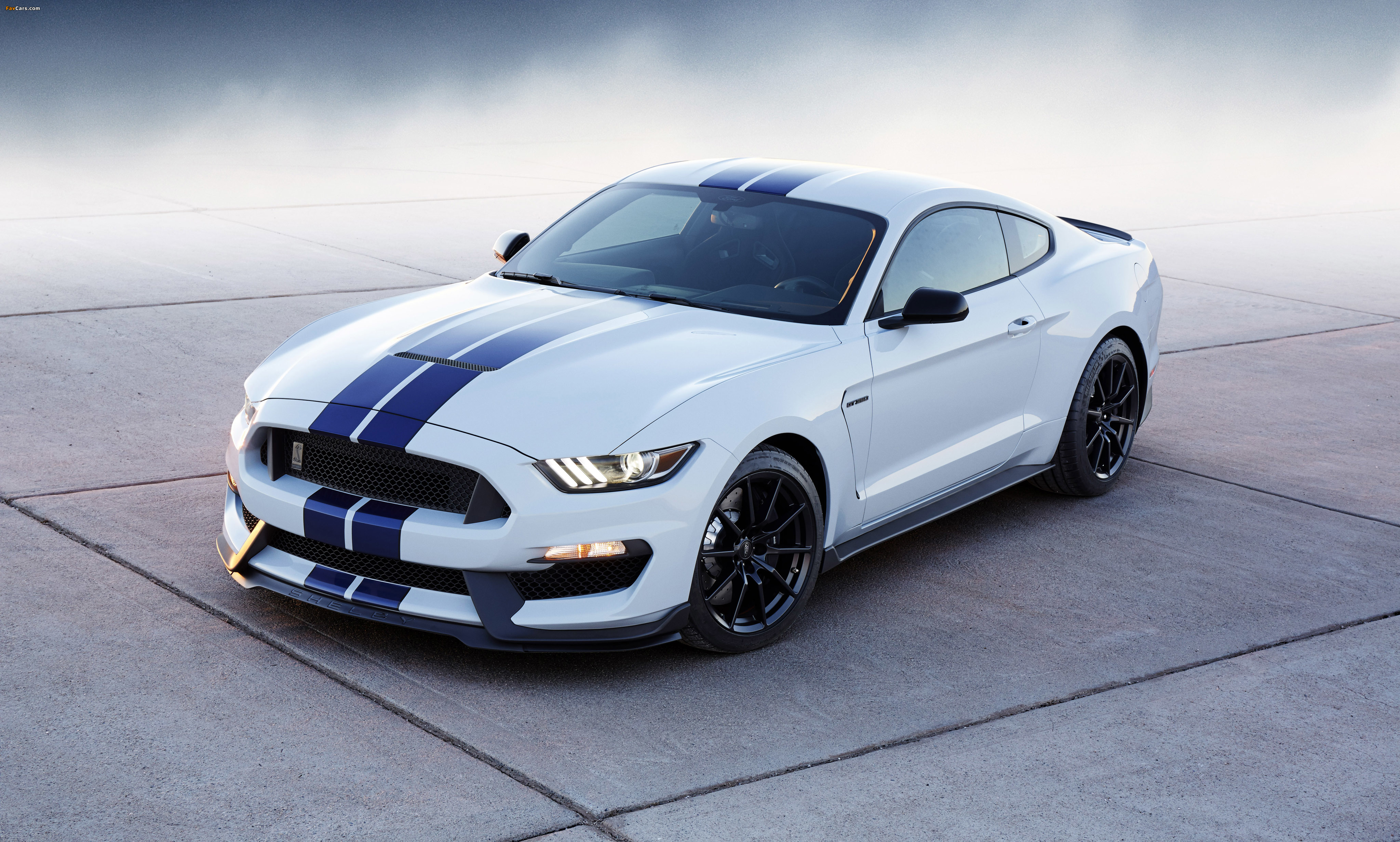 Pictures of Shelby GT350 Mustang 2015 (4096 x 2463)