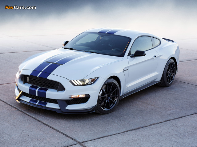 Pictures of Shelby GT350 Mustang 2015 (640 x 480)