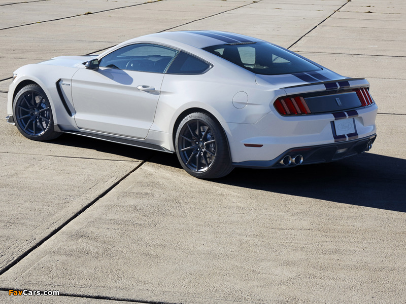 Pictures of Shelby GT350 Mustang 2015 (800 x 600)