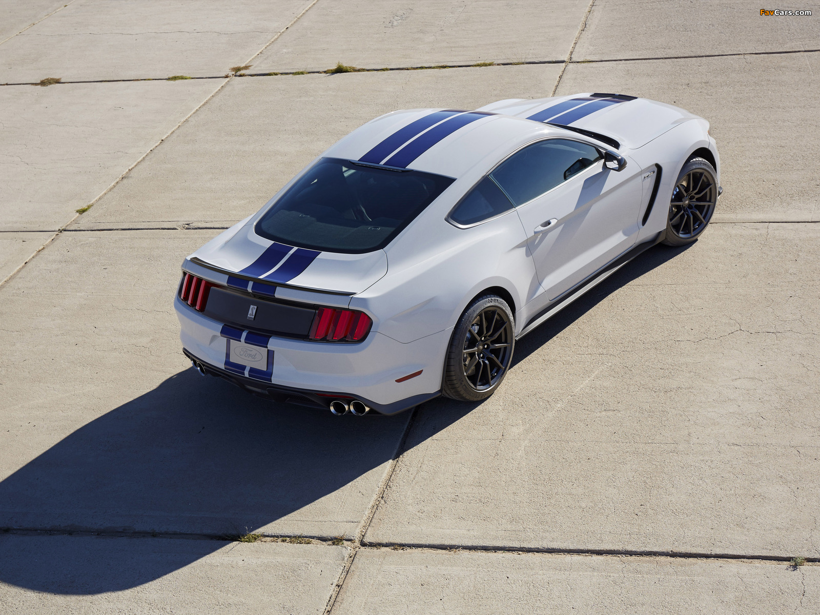 Pictures of Shelby GT350 Mustang 2015 (1600 x 1200)