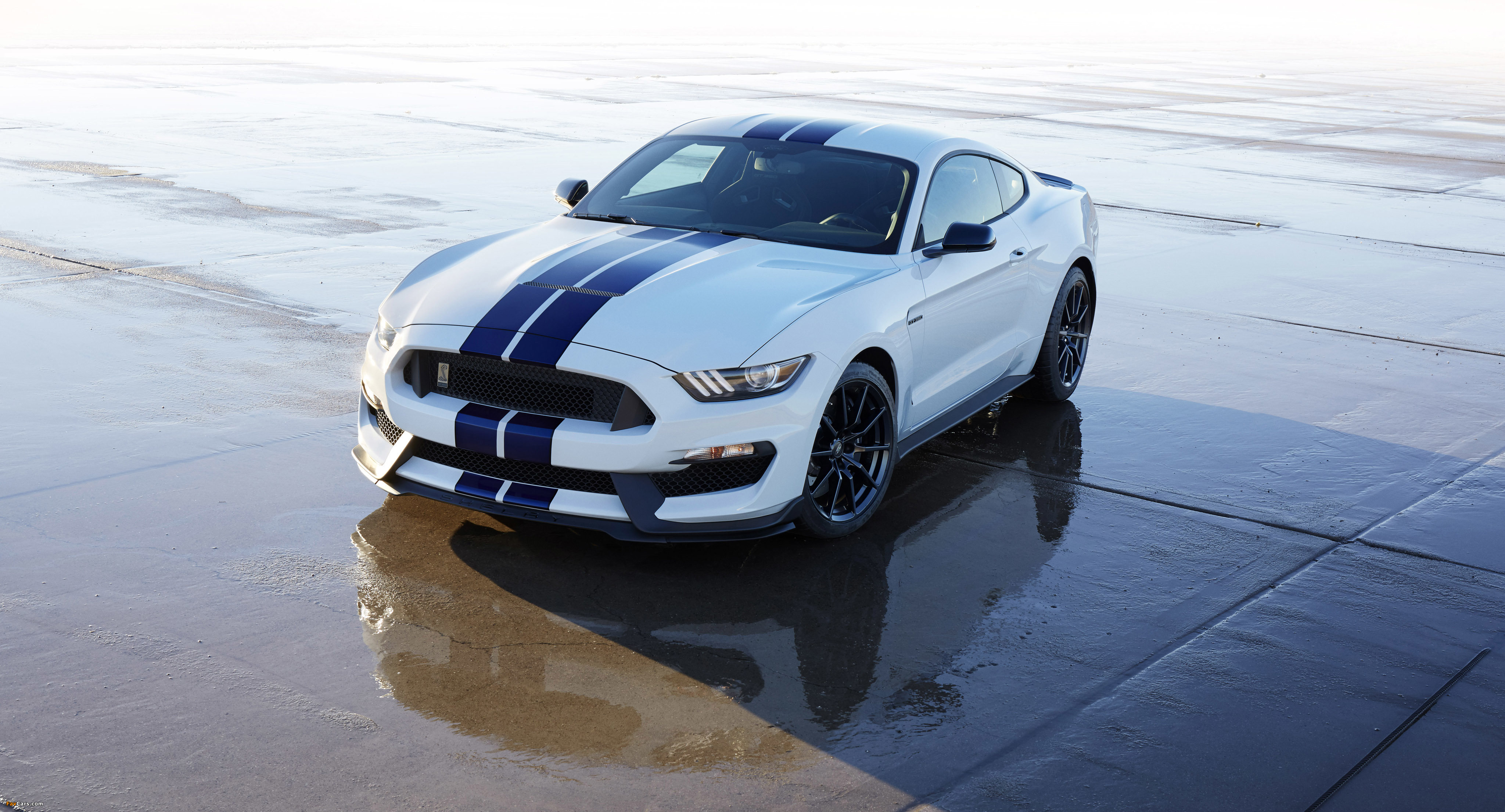 Pictures of Shelby GT350 Mustang 2015 (4096 x 2211)