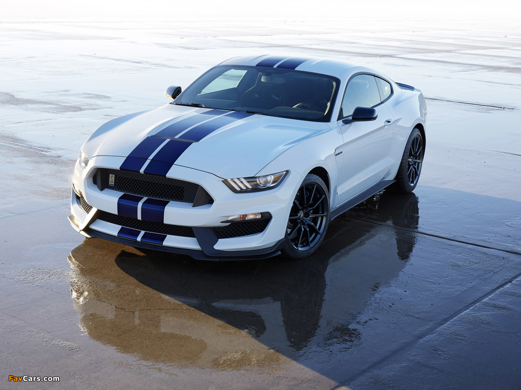 Pictures of Shelby GT350 Mustang 2015 (1024 x 768)