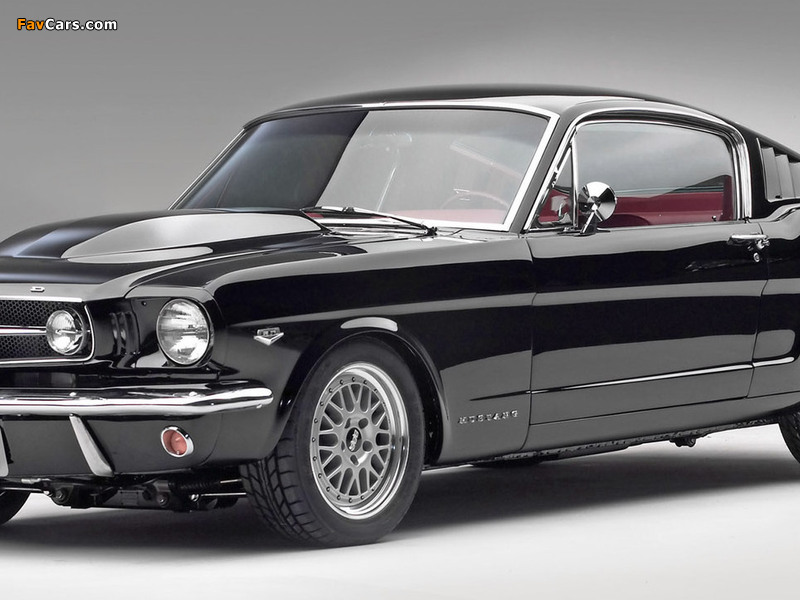 Mustang Cammer Fastback 1965 wallpapers (800 x 600)