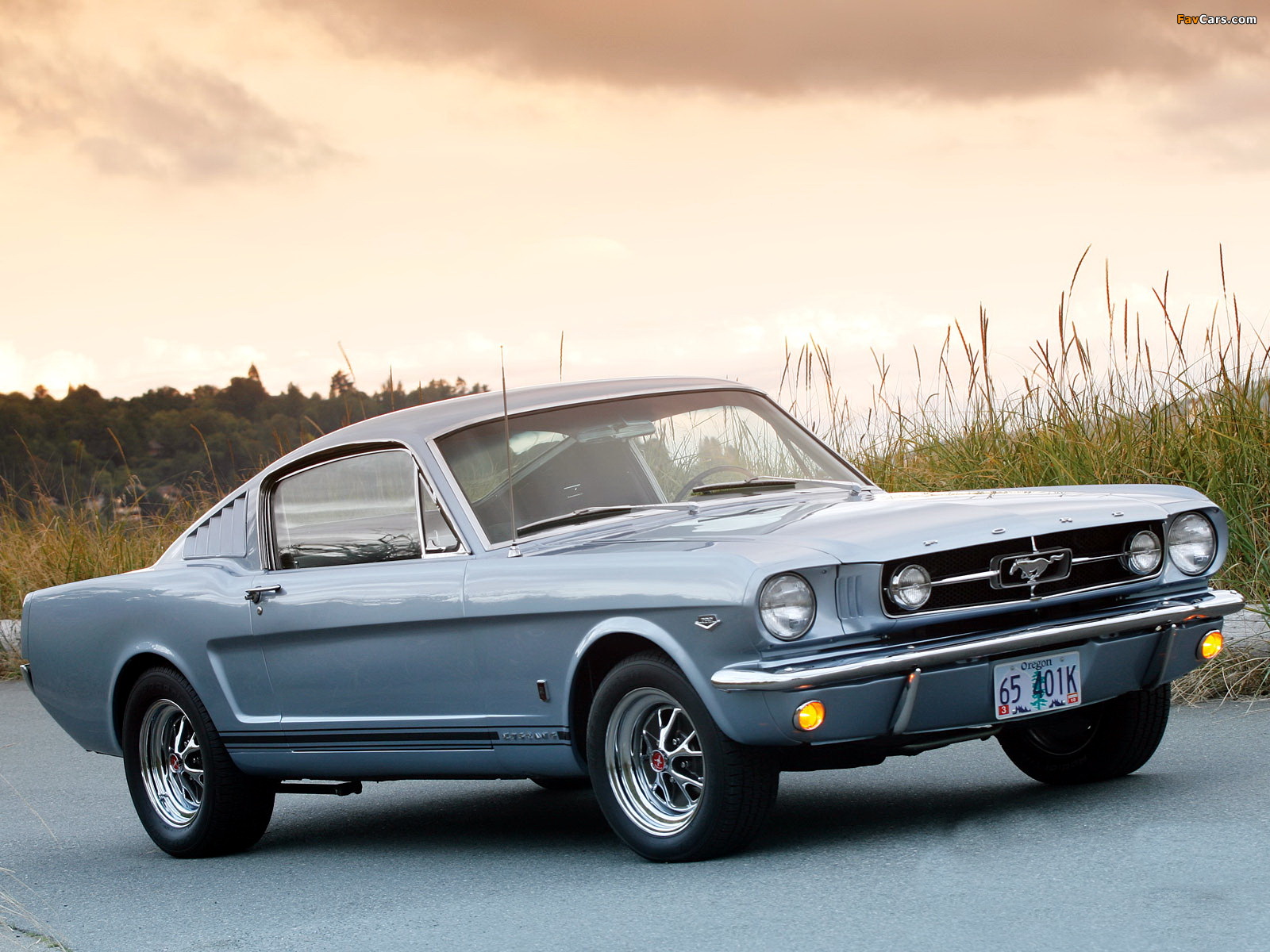 Mustang GT Fastback 1965 wallpapers (1600 x 1200)