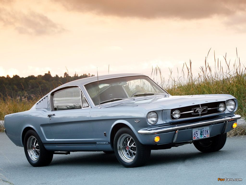 Mustang GT Fastback 1965 wallpapers (1024 x 768)