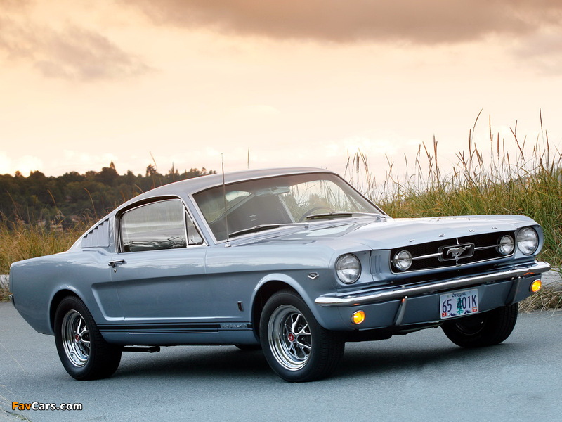 Mustang GT Fastback 1965 wallpapers (800 x 600)