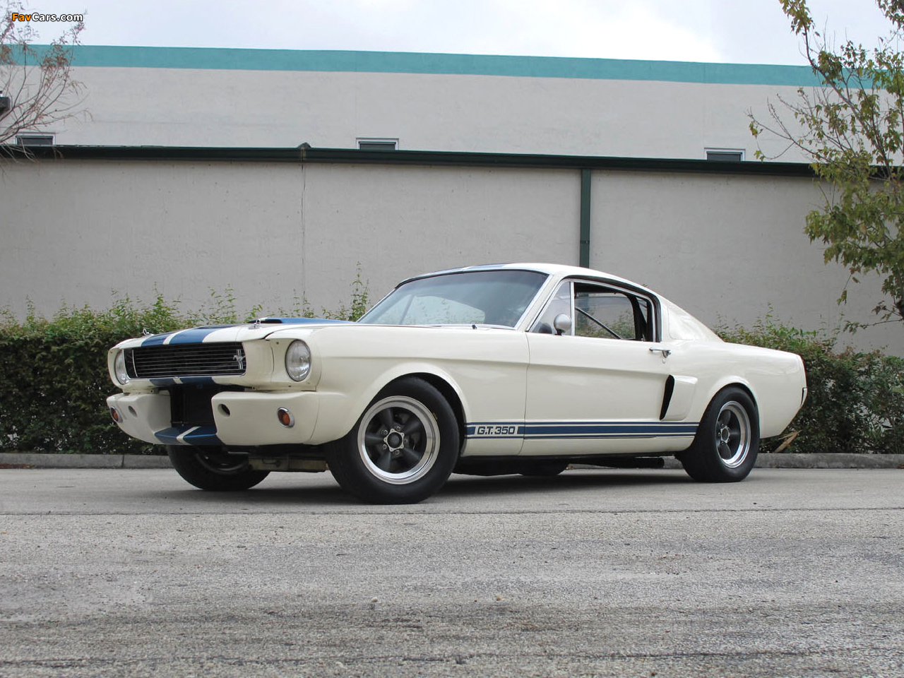 Shelby GT350R 1966 wallpapers (1280 x 960)